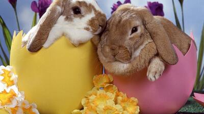 Last Minute Weekend di Pasqua 2026 in Trentino