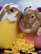 Weekend di Pasqua
