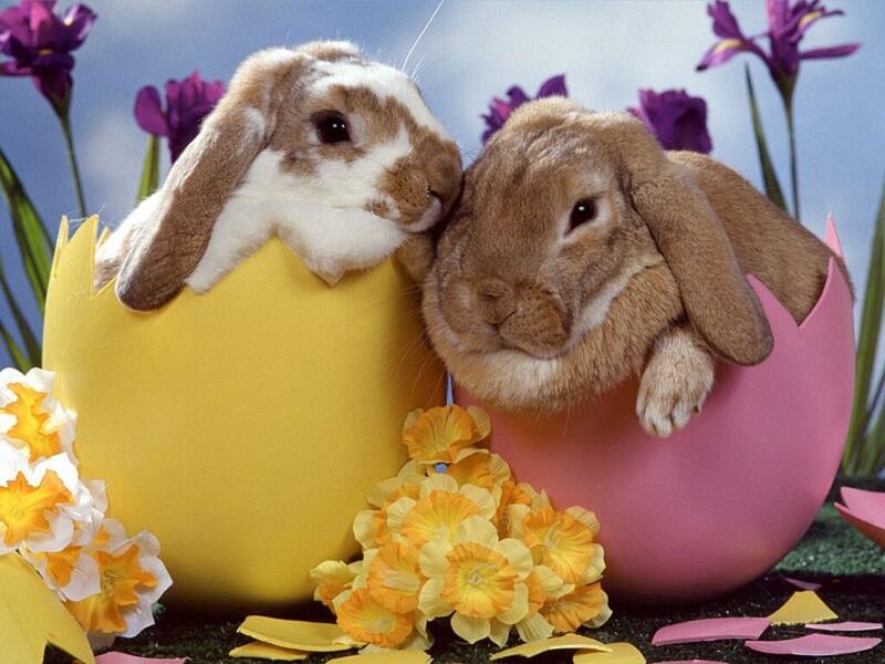 Last Minute Weekend di Pasqua in Trentino