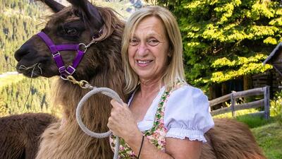 Trekking con i lama in Trentino