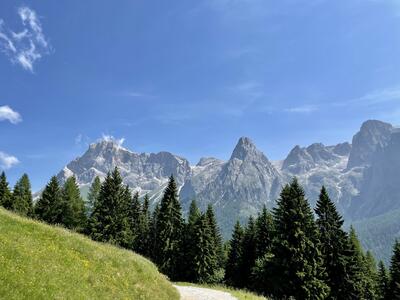 Il Sentiero per Malga Crel-Estate