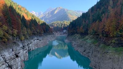 Il Ponte Tibetano in Val Noana - Primiero