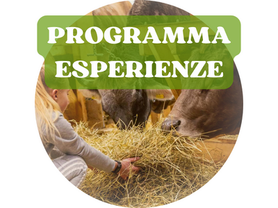 Programma delle Esperienze