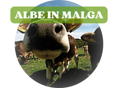 Albe in Malga