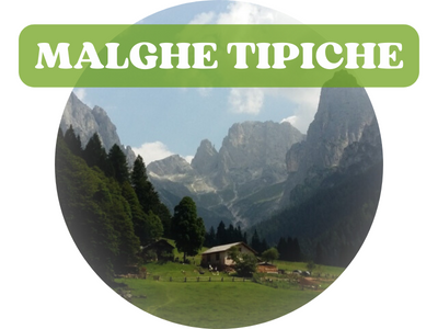 Malghe Tipiche del Primiero