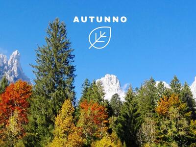 L'Autunno, scopri qui