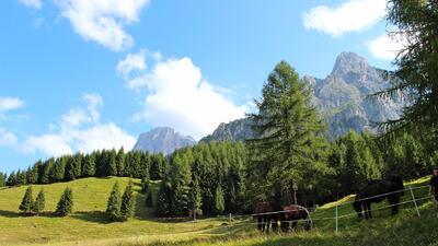 Passeggiare a cavallo