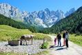 Esperienze ed attività per famiglie in Primiero Trentino