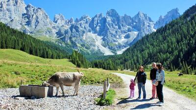 Esperienze ed attività per famiglie in Primiero Trentino