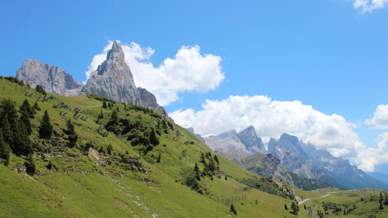 Magiche Emozioni d'Estate