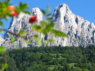 Le Pale di San Martino-Estate