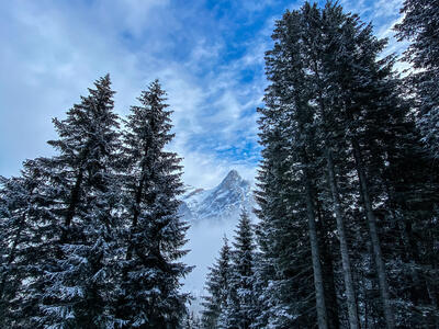 La Cima  Innevata-Inverno