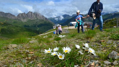 Vieni in montagna, è terapeutico!