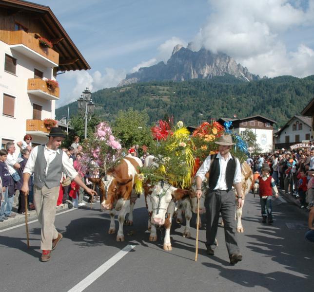 La Desmontegada 2016