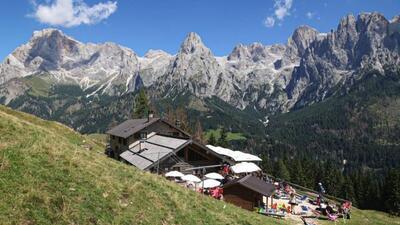 Il Sussurro del Bosco