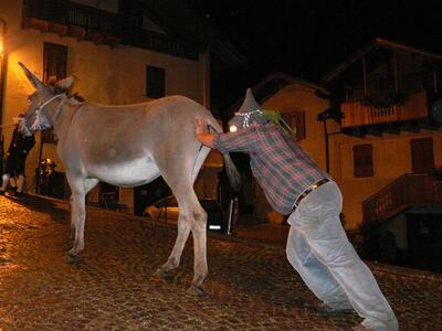 Palio dei Musati