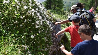 Il parco al microscopio in Val Canali