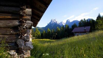 Il mondo delle api con piccola degustazione
