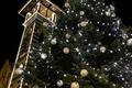 Mercatini di Natale 2025 a Siror in Trentino Dolomiti