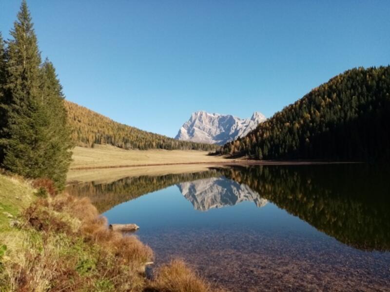 Le Carezze d'Autunno