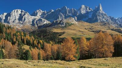 Ponte del 1 Novembre Ognissanti 2026 in Primiero Trentino