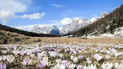 Coccole a Pasqua in Trentino