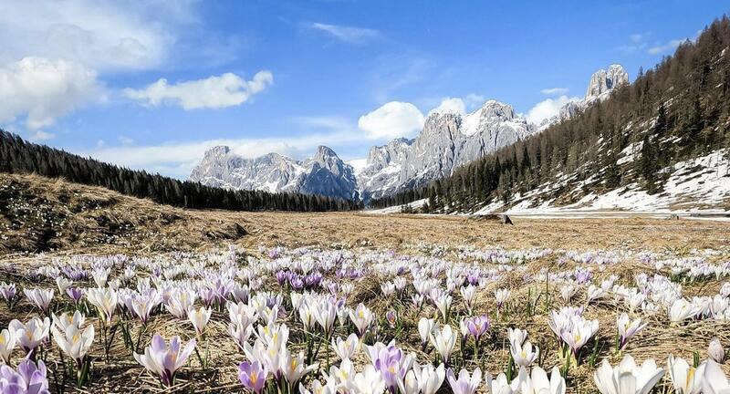 Coccole a Pasqua in Trentino