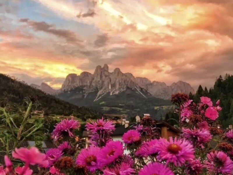 Profumo di Primavera in Trentino