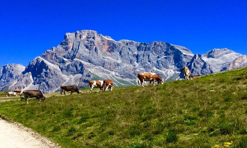 Relax con Omaggio in Trentino