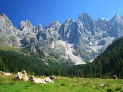 Le Pale di San Martino