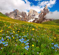 Cosa fare e vedere a Giugno Trentino Alto Adige Dolomiti