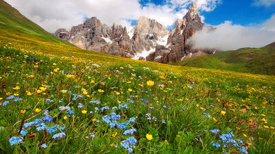 Vacanza Natural Detox nelle Dolomiti: <br>vivi la natura del Trentino