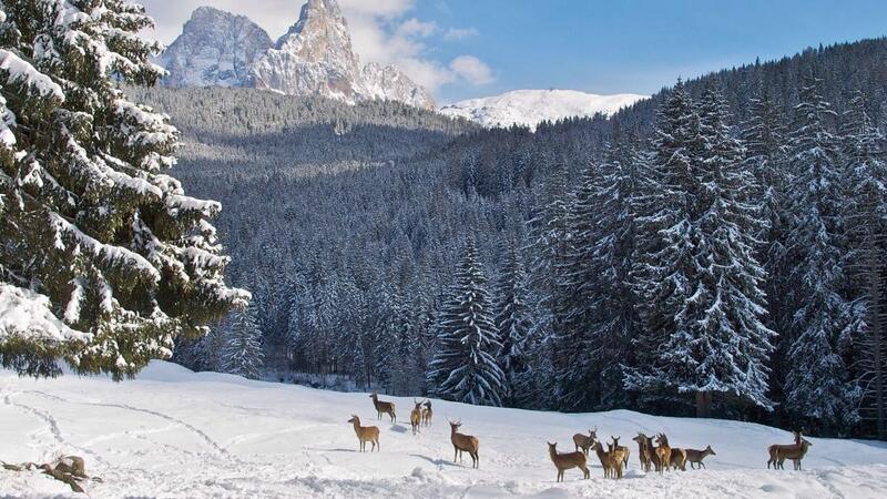 Offerta Vacanza Settimana di Natale 2025 in Trentino