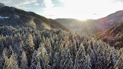 I Giorni della Merla: <br>la leggenda che accende l’inverno in Trentino