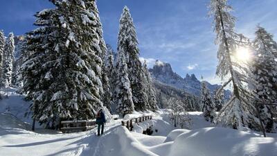 Cosa fare e vedere a febbraio in Trentino Alto Adige Dolomiti